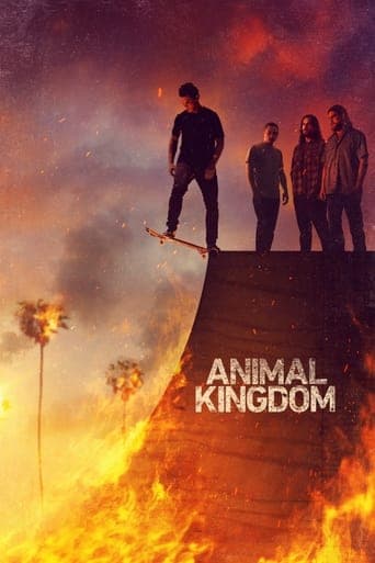 Animal Kingdom Peliculas Online